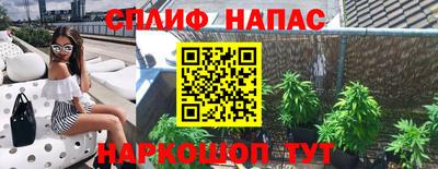 стаф Краснодар
