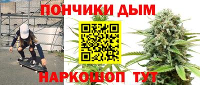индика Краснознаменск