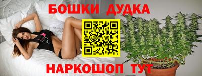 индика Краснознаменск