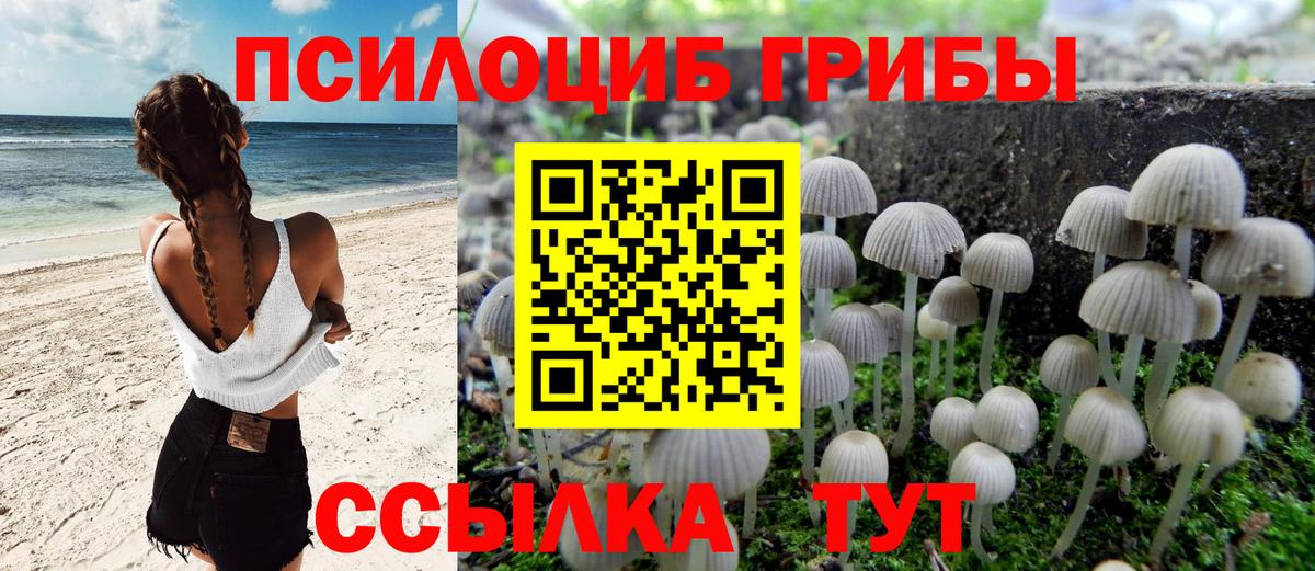 Галлюциногенные грибы прущие грибы  Вход с VPN  Железноводск 