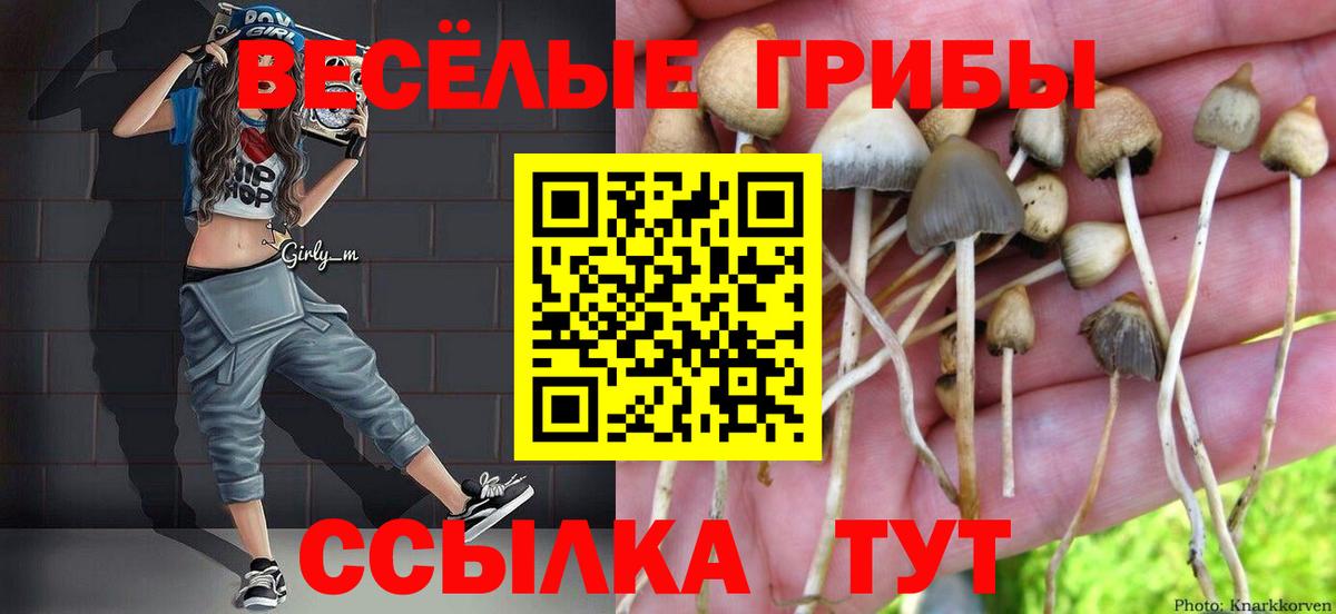 Галлюциногенные грибы мухоморы Железноводск